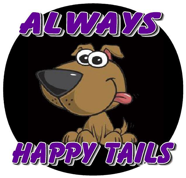 Always Happy Tails Pet Sitting Frisco Pet Sitting Frisco TX 75035 9729008101